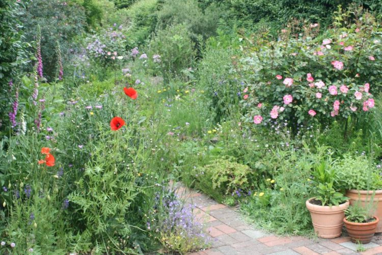 „Offener Garten“ in Breitenfelde