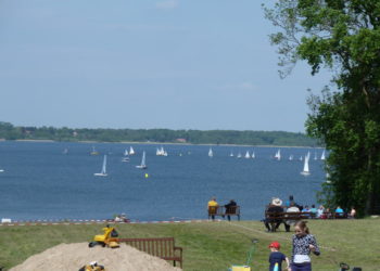 Spargelzeit am Ratzeburger See