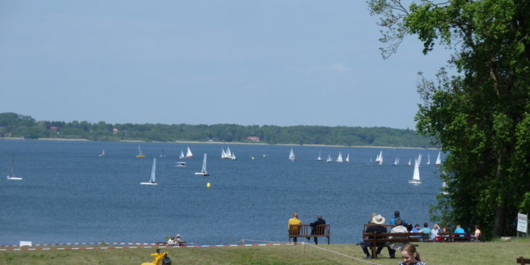 Spargelzeit am Ratzeburger See