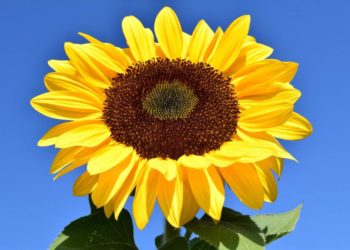 Kreistagsfraktion mit Neuzugängen und mehr Frauen