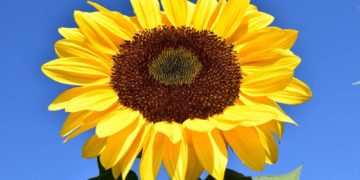 Kreistagsfraktion mit Neuzugängen und mehr Frauen