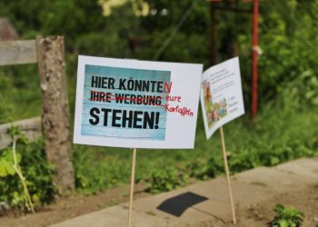 Blühende Landschaften auf dem Möllner Schulberg 