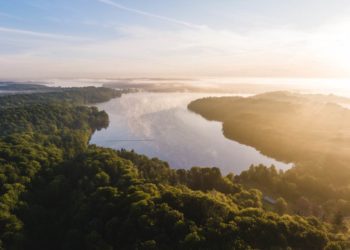 100 Jahre naturgemäße Waldwirtschaft