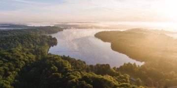 100 Jahre naturgemäße Waldwirtschaft