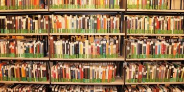 Bücherschrank für Steinhorst