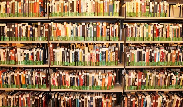 Bücherschrank für Steinhorst