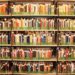 Bücherschrank für Steinhorst