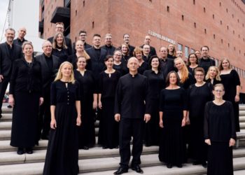 Attraktive Konzertreihe im Ratzeburger Dom