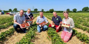 Süße Früchtchen zum Selbstpflücken im Herzogtum Lauenburg