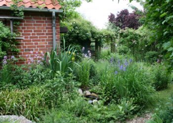 Das Offene Garten Wochenende im Breitenfelder Naturgarten