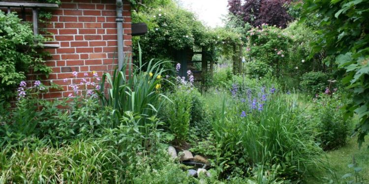 Das Offene Garten Wochenende im Breitenfelder Naturgarten