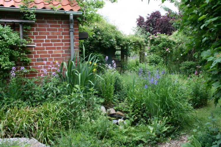 Das Offene Garten Wochenende im Breitenfelder Naturgarten