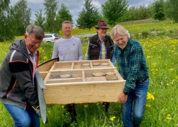 Drei Insektenhotels für den Baumpark