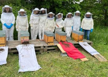 Bienen-AG bekommt neue Völker
