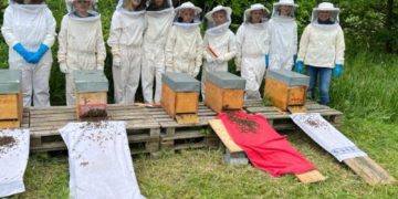 Bienen-AG bekommt neue Völker