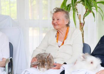 Flauschige Vierbeiner zu Besuch