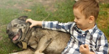 Haustierbisse sofort medizinisch versorgen