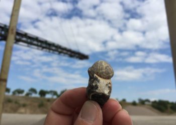 Spannende Ausflüge in die Erdgeschichte – wenn Steine sprechen