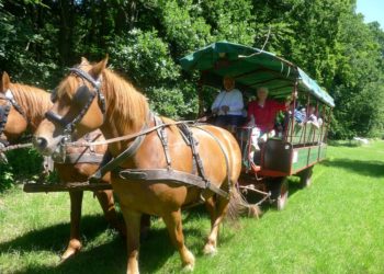 KulturSommer am Kanal: Auf künstlerischen Spuren