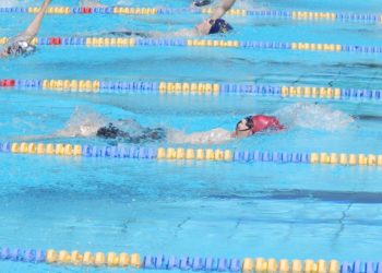 Schwimmstaffeln aus Mölln erfolgreich