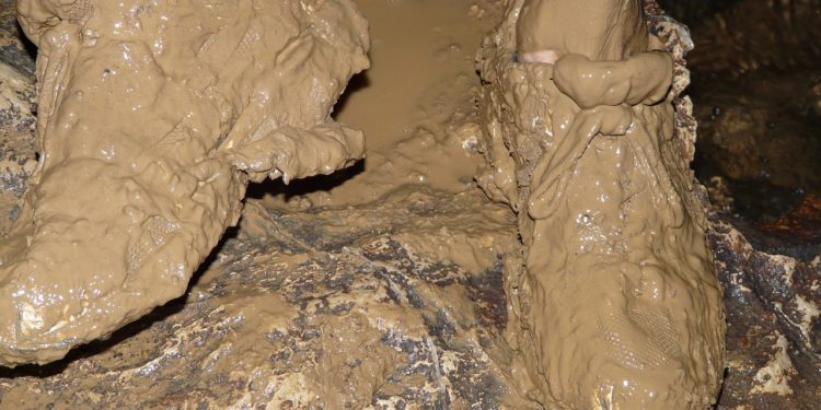 Seelsorge für Wacken-Fans