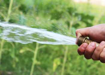 Der neue Stundenlohn für die Arbeit im Garten und in Parks