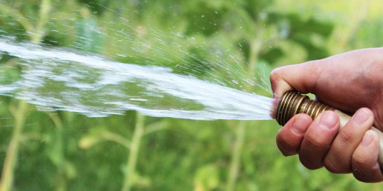 Der neue Stundenlohn für die Arbeit im Garten und in Parks