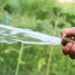 Der neue Stundenlohn für die Arbeit im Garten und in Parks