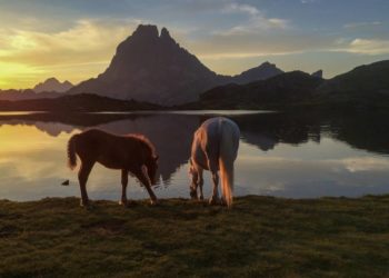 Magische Orte und fantastische Momente