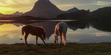 Magische Orte und fantastische Momente