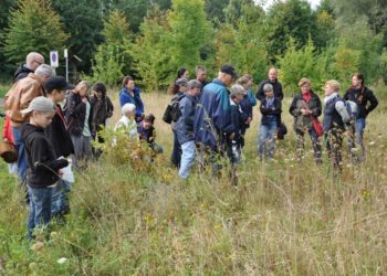 Kräuterführung “Kräuter auf der Insel Kampenwerder” im UNESCO-Biosphärenreservat Schaalsee