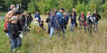 Kräuterführung “Kräuter auf der Insel Kampenwerder” im UNESCO-Biosphärenreservat Schaalsee