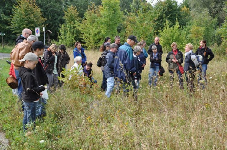 Kräuterführung “Kräuter auf der Insel Kampenwerder” im UNESCO-Biosphärenreservat Schaalsee
