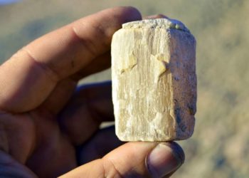 Die Geheimnisse der Ostsee und ihrer Steine entdecken