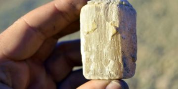 Die Geheimnisse der Ostsee und ihrer Steine entdecken