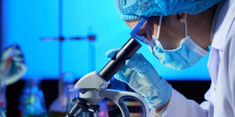 Lebensmittelbetrug auf die Spur kommen