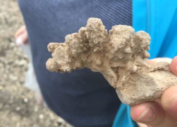 Faszination Geologie im GeoPark Nordisches Steinreich erleben