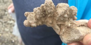 Faszination Geologie im GeoPark Nordisches Steinreich erleben