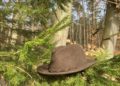 Vielfalt und Farbenpracht der Natur erleben