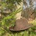 Vielfalt und Farbenpracht der Natur erleben