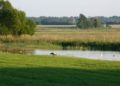 Geführte Wanderung im Duvenseer Moor