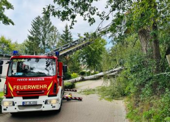 Möllner Feuerwehr: 19 Hilfeersuchen im August 2023