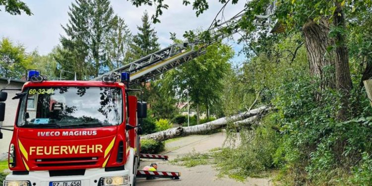Möllner Feuerwehr: 19 Hilfeersuchen im August 2023