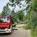 Möllner Feuerwehr: 19 Hilfeersuchen im August 2023