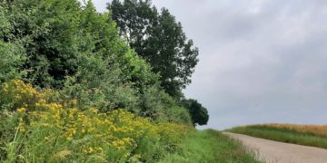 Führung zu Thema Knicklandschaft: „Kannste knicken!“
