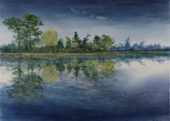 Kunst und Natur im Stadthauptmannshof