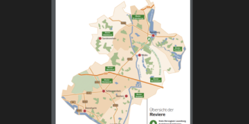 Moritz Löffelmann neuer Revierleiter in der Försterei Gretenberge