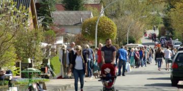 Zwei Dörfer, ein Flohmarkt – die Trödelmeile zwischen Düchelsdorf und Sierksrade
