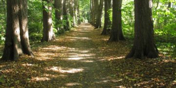 Wanderung Kirchensee Zarrentin