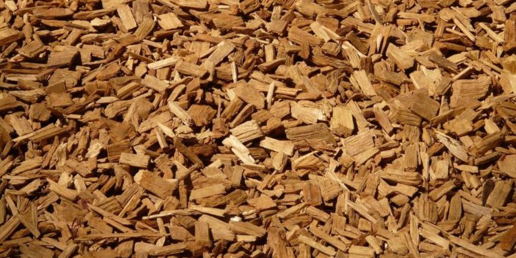 Schredderaktion beim Städtischen Betriebshof